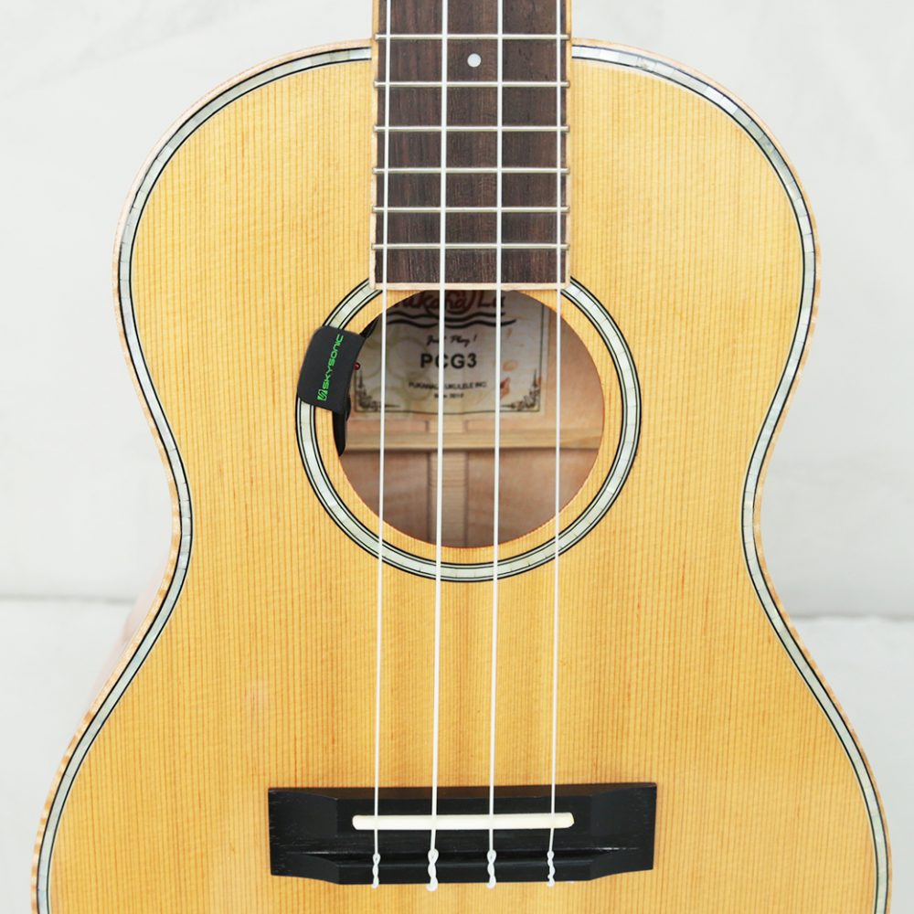 PukanaLa 經典系列 PCG3 X Skysonic mini II 拾音器