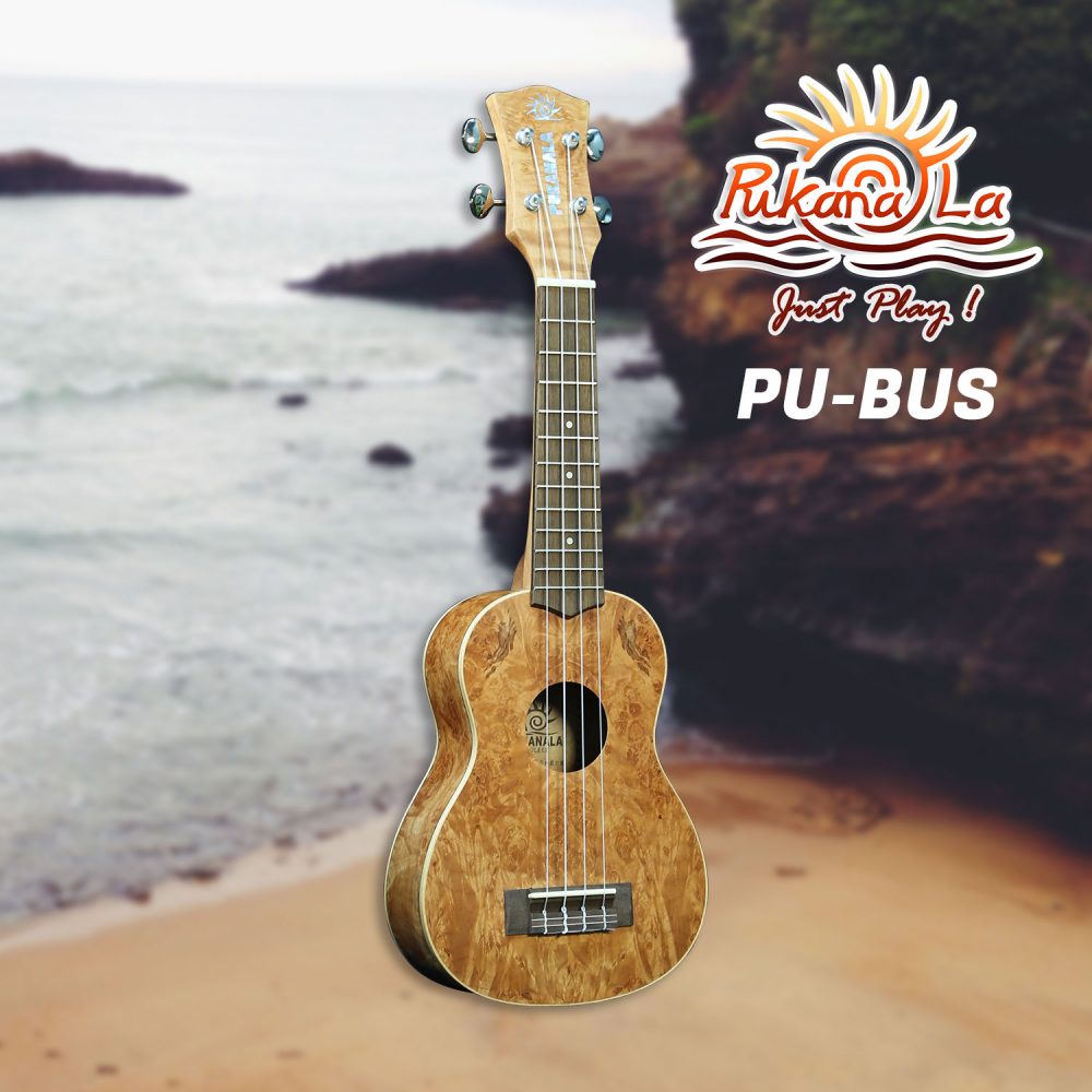 PukanaLa 特殊木系列 21″烏克麗麗 PU-BUS：圖片 4