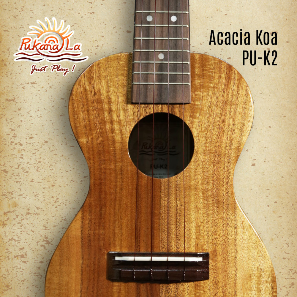 PU-K2